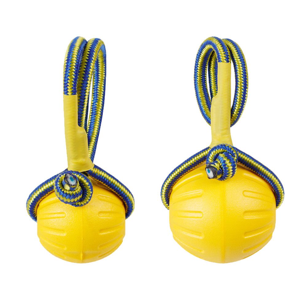 For Dog Interactive Indestruct - Indestructible Dog Chew Toy recension och pris