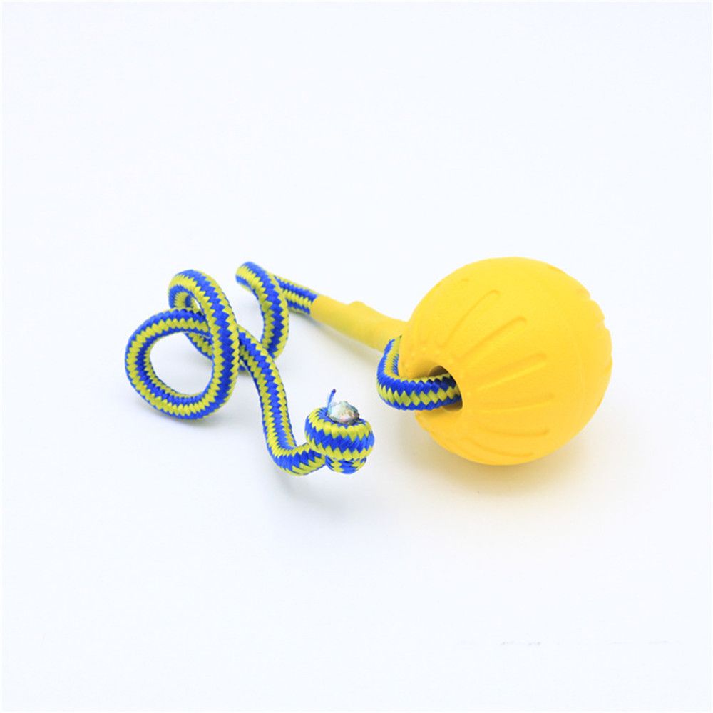 For Dog Interactive Indestruct - Indestructible Dog Chew Toy recension och pris