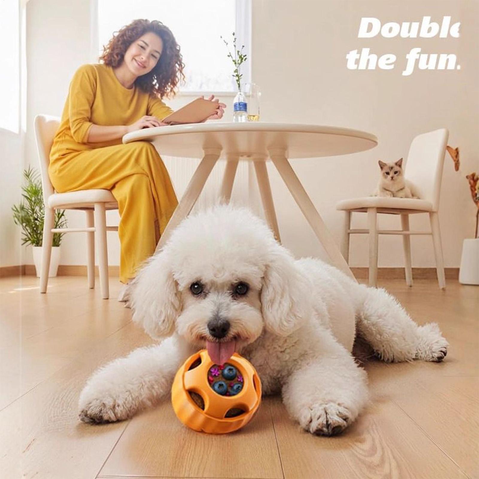 Treat Dispensing Dog Toys Dog  - Dog Puzzle Feeder Toy recension och pris