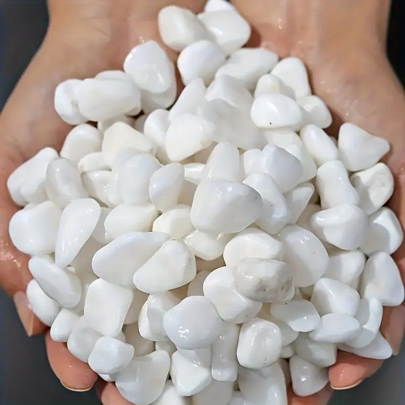 1L High-Quality Perlite Succul - Pet Beds recension och pris