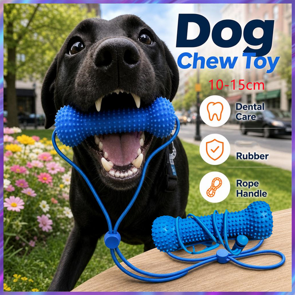 10/15cm Pet Chew Stick Dog Squ - Interactive Squeaky Plush Dog Toy recension och pris