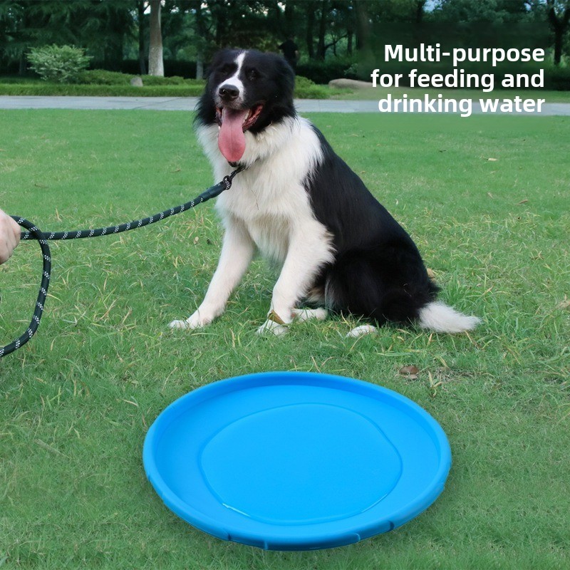 Multicolor Frisbeed Dog Toy 22 - Flying Disc Dog Training Toy recension och pris