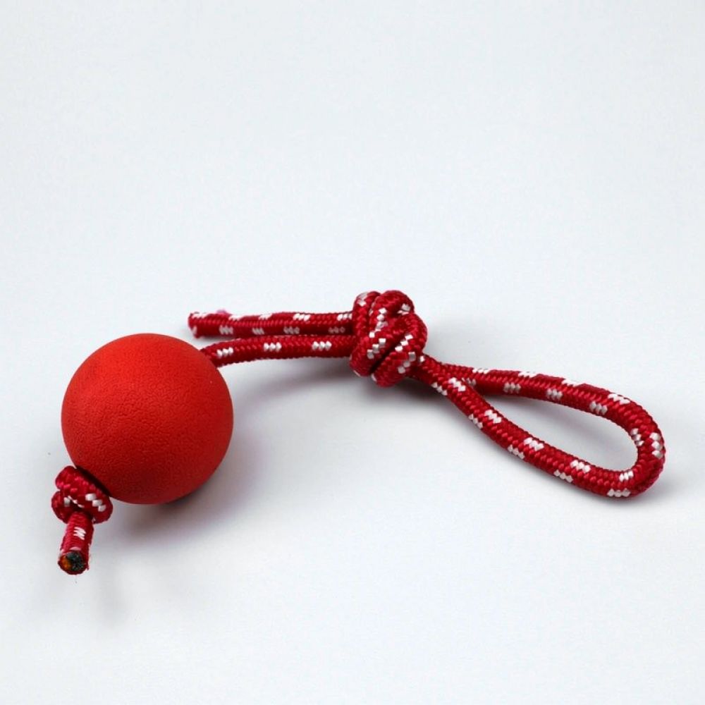 Indestructible TPR Rubber Dog  - Indestructible Dog Chew Toy recension och pris