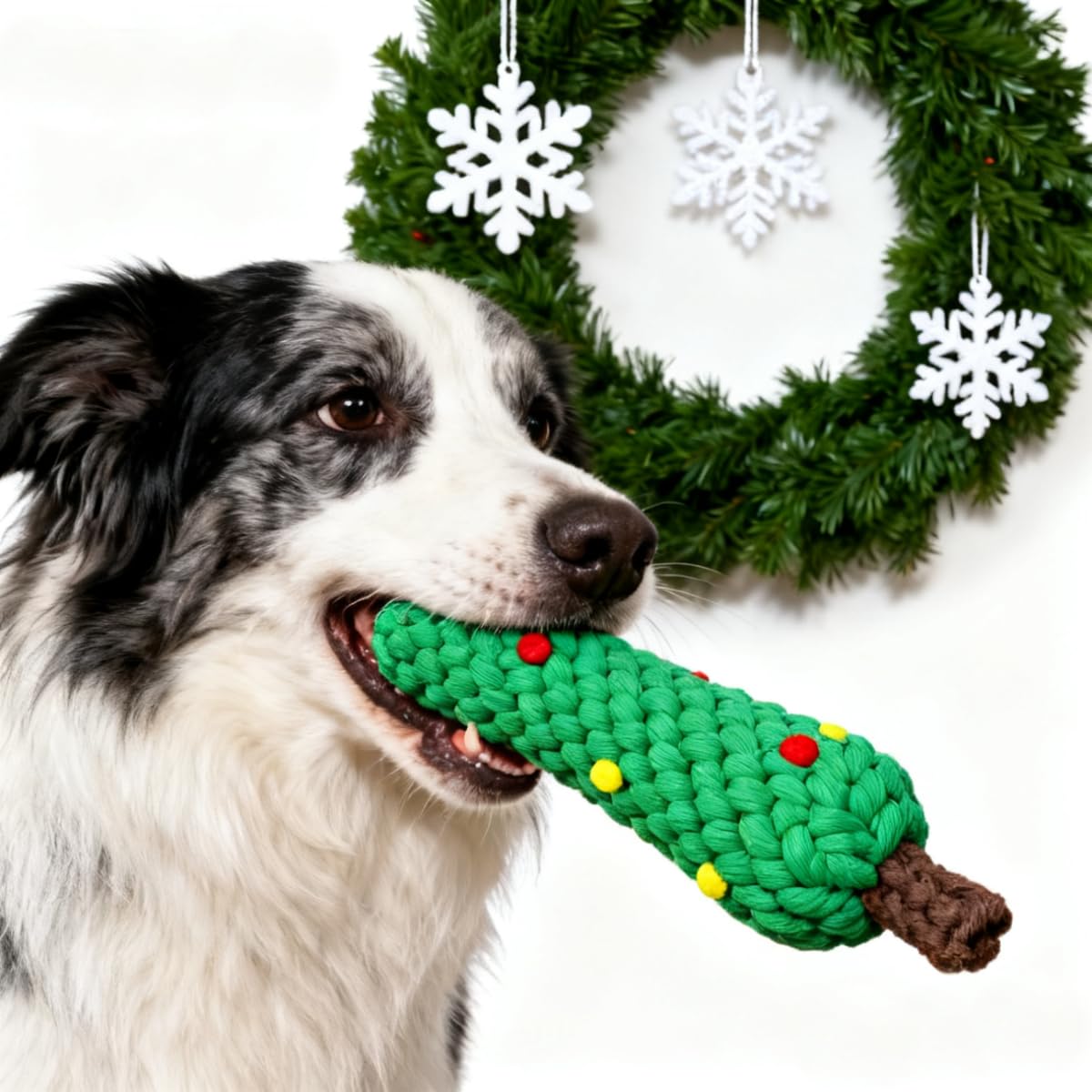 Christmas Cotton Rope Dog Chew - Teeth Cleaning Dog Chew Bone recension och pris