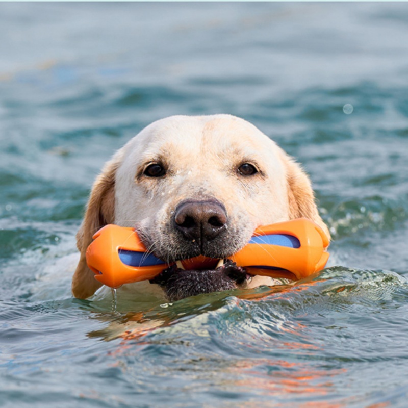 Dog Fetch Stick TPR EVA Floati - Indestructible Dog Chew Toy recension och pris