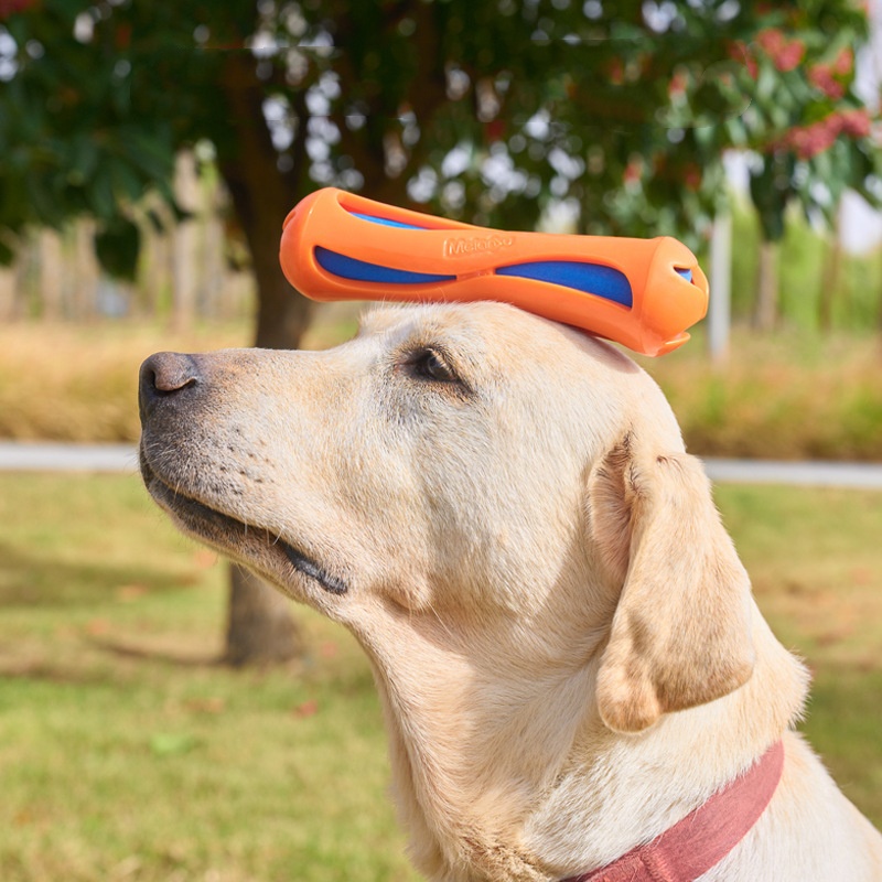 Dog Fetch Stick TPR EVA Floati - Indestructible Dog Chew Toy recension och pris